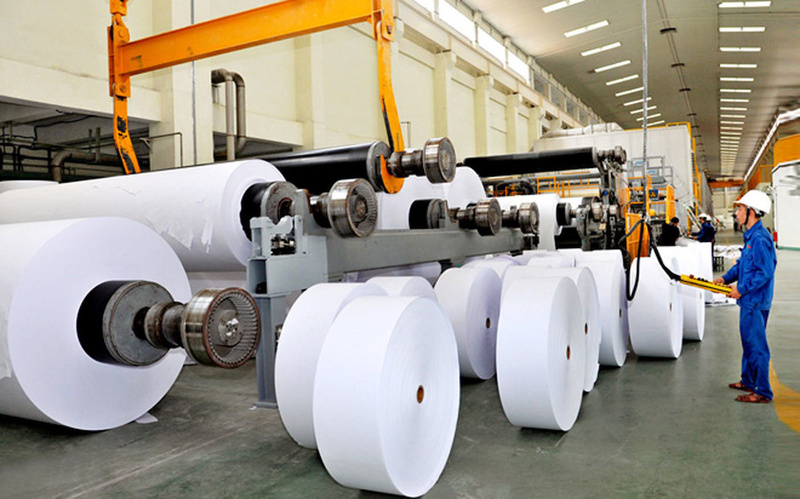 Ngành giấy trước áp lực tăng trưởng: Gỡ nút thắt thu gom, tái chế
